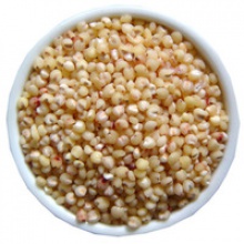 grain sorghum - product's photo