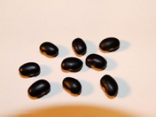 chinese black soya bean - product's photo