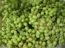  fresh grapes - product's photo