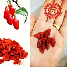 goji berry dried fruit - product's photo