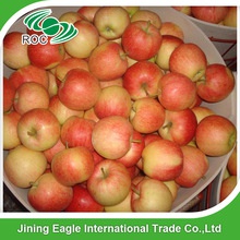  fresh royal red gala apples - product's photo