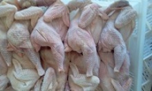whole frozen hen chicken - product's photo