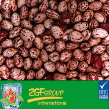 organic red speckled kidney bean - product's photo