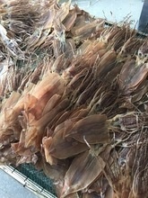 frozen high quality dried illex squid - product's photo