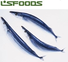 2015 frozen pacific saury from china - product's photo