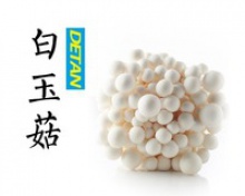 white beech mushroom - product's photo