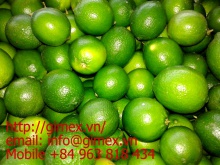 fresh seedless lime - product's photo