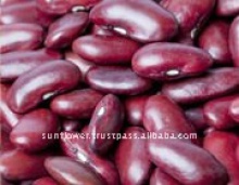 new crop thailand red kidney beans - product's photo