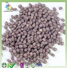 freeze dried fd red beans - product's photo