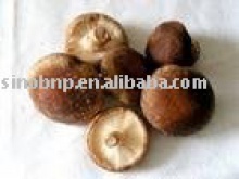 shiitake mushroom extract - product's photo