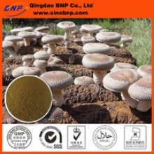 high quality of organic shiitake mushroom p.e. - product's photo