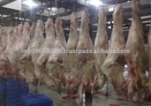 meat frozen halal buffalo compensated - product's photo