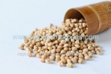export quality indian garbanzo beans - product's photo