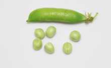 the choice green peas - product's photo