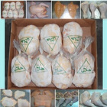 halal frozen chicken best quality - product's photo