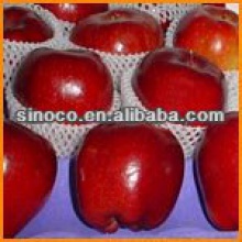 china fresh red apple - product's photo
