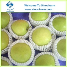 chinese fresh green apple prices - product's photo