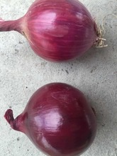 high quality 2016 crop red onion price - product's photo