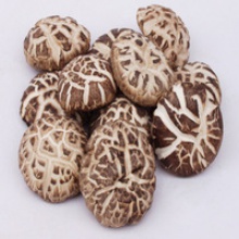 bulk whole cap cultivated smooth dried shiitake mushroom - product's photo