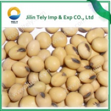 soya bean for food grade - product's photo