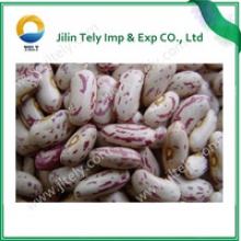 long shape large specked kidney beans - product's photo