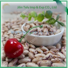 light specked kidney beans - product's photo