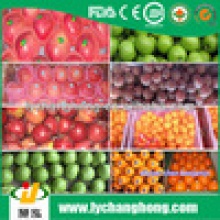 fresh fruit exporters in china - product's photo
