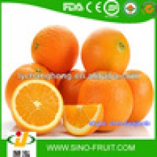 fresh fruits and vegetables in china - product's photo