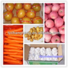 fruit and vegetables exporter/fresh fruit and vegetables dealers - product's photo