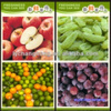 name of imported fruits from china - product's photo