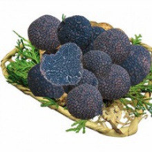 new crop black truffle with high quality  - product's photo