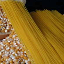 organic corn noodle(pasta) - product's photo