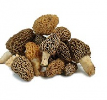 black morel mushroom market price from yunnanchina - product's photo