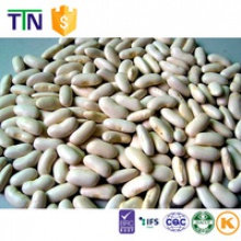 ttn chinese kidney bean price white kidney beans - product's photo