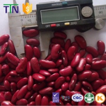 ttn red beans price kidney beans with high protein specification - product's photo