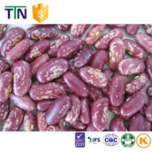 ttn lsbk light speckled purple speckled kidney bean - product's photo