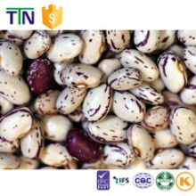 ttn black purple speckled and light speckled kidney bean - product's photo