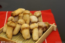 frozen fresh pine mushroom with good quality - product's photo
