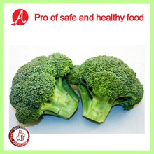 iqf frozen broccoli from china - product's photo