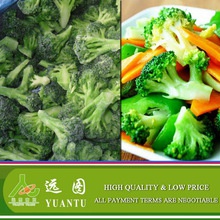 frozen broccoli/iqf broccoli/broccoli - product's photo