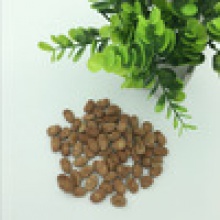 faba beans - product's photo