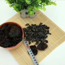 	 organic black fungus - product's photo