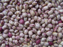 beans red kidney beans - product's photo