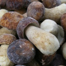 wild boletus mushrooms - product's photo