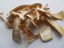 wild dried tricholoma matsutake - product's photo
