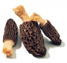 100% top quality wild morel - product's photo