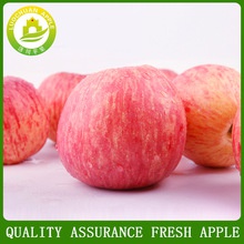 best prices apple fresh fruit fuji apple exporter in china - product's photo