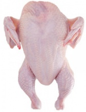  halal chicken for export - product's photo