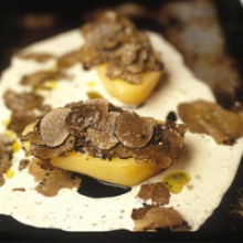fresh desert truffles - product's photo