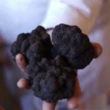 fresh black truffle mixed size - product's photo